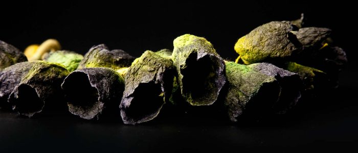 ana_hagopian_barcelona_paper-Jewellery_2